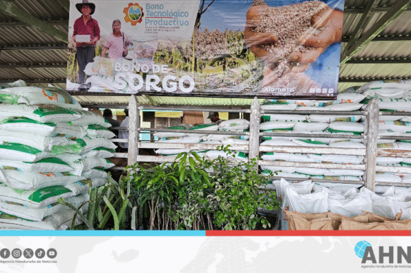 Gobierno de Honduras entrega bono Tecnológico, Ganadero y Cafetalero