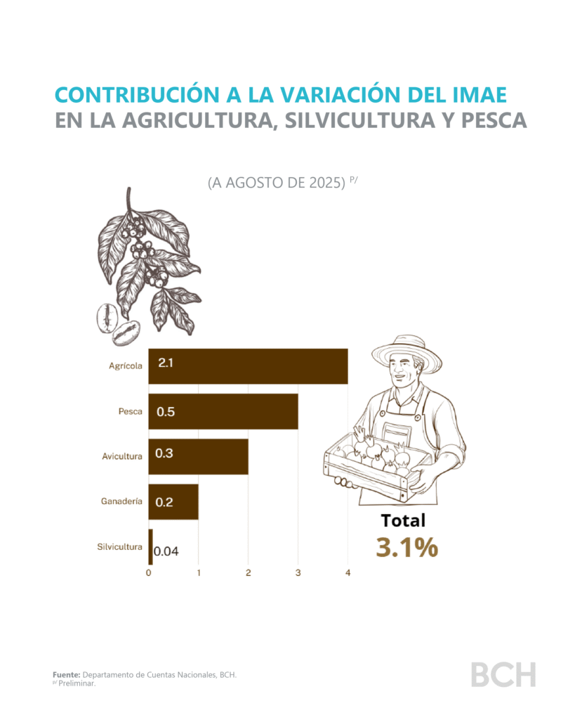 Economía de Honduras mantiene sólido crecimiento en 2025.
