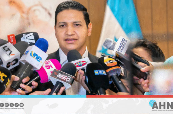 Ministro de Recursos Naturales destaca cooperación ambiental y energética entre Honduras y Brasil