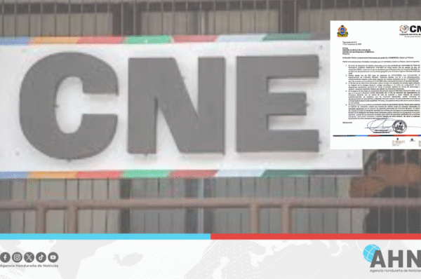 CNE desmiente acusaciones sobre entrega de material electoral