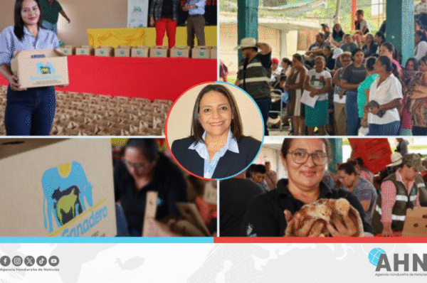 Secretaria hondureña destaca impacto de bonos en producción y seguridad alimentaria