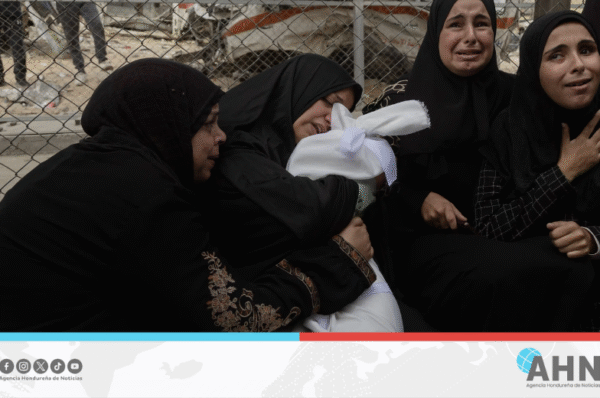 ONG palestina denuncia a Israel por violar acuerdo de alto el fuego