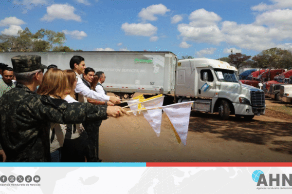 CNE relanza licitación para transporte de material electoral