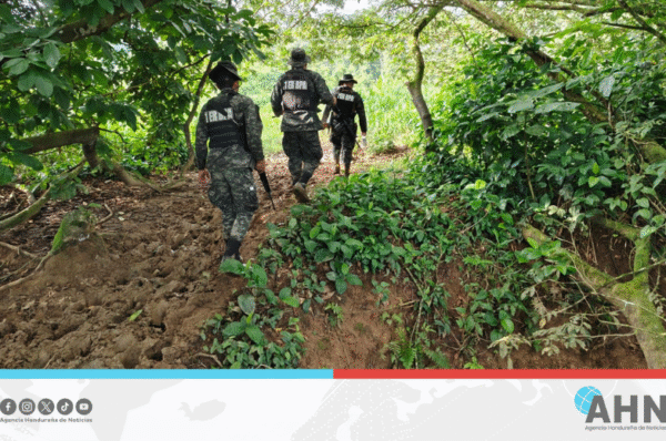 Honduras acelera su meta de Cero Deforestación al 2029