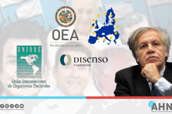 Presencia de observadores internacionales de derecha derrumba discurso de “fraude” del bipartidismo hondureño