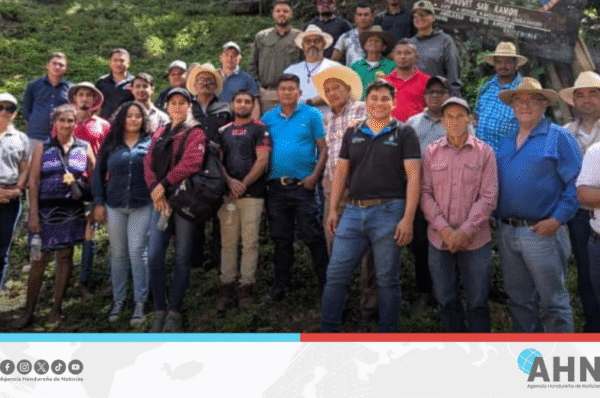 Instituto forestal impulsa forestería comunitaria en Honduras