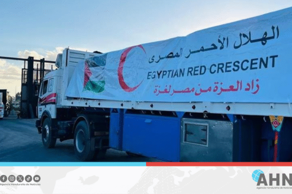 Organización egipcia envía más de 9,000 toneladas de ayuda humanitaria a Gaza