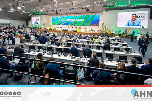 Presidenta de Honduras denuncia conspiraciones y garantiza elecciones libres