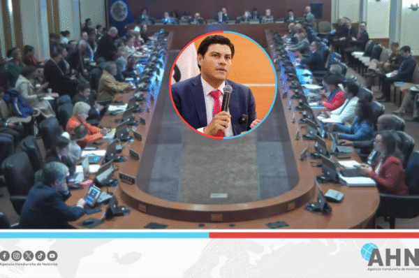 OEA recibe denuncia de boicot electoral orquestado por el bipartidismo de Honduras