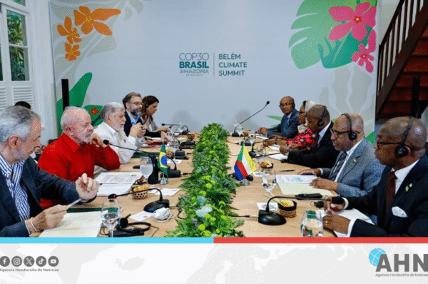 Presidente de Brasil impulsa cooperación ambiental diplomática en COP30