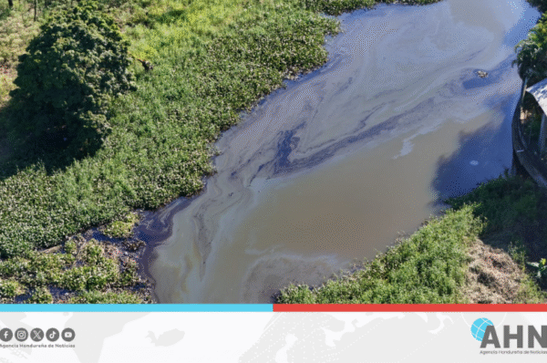 Instituto forestal hondureño activa labores por derrame de hidrocarburos en fuente hídrica