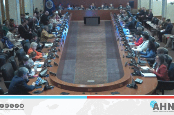 OEA respalda a funcionarios hondureños en realización de elecciones libres, transparentes y confiables