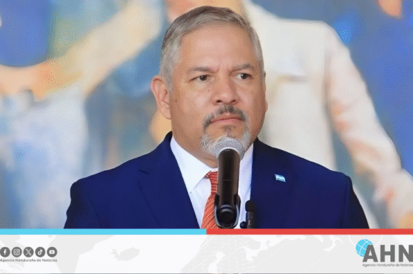 Excanciller hondureño coincide con solicitud de OEA de realizar elecciones libres, transparentes y sin injerencias