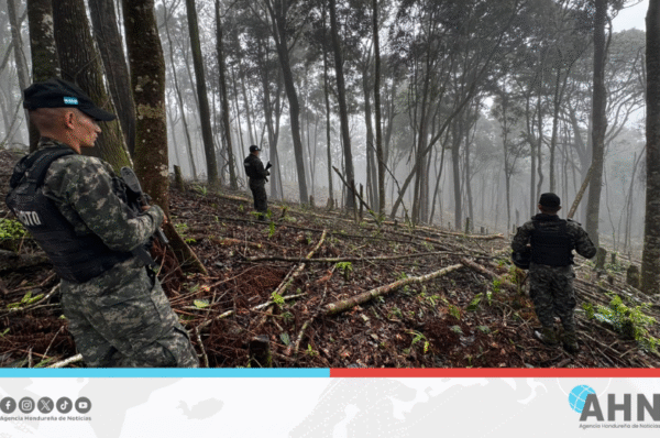 FFAA de Honduras responden a alerta por deforestación en el occidente del país