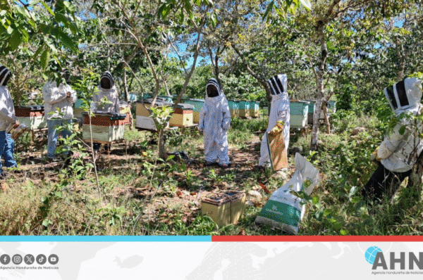 Gobierno impulsa transformación del campo hondureño con proyecto SAG-Agroextensión