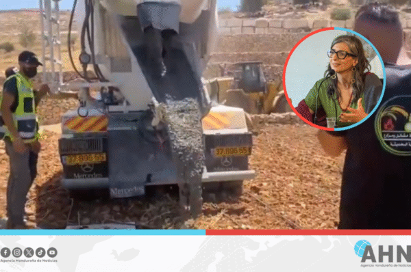 Relatora de la ONU en Territorios Palestinos rechaza acciones criminales del régimen israelí