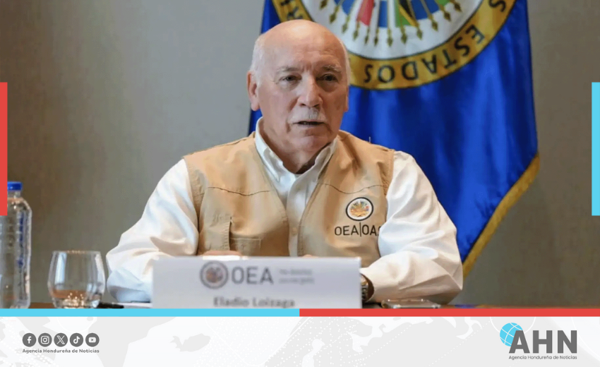 MOE de OEA considera “injustificable” la falta de resultados en comicios de Honduras
