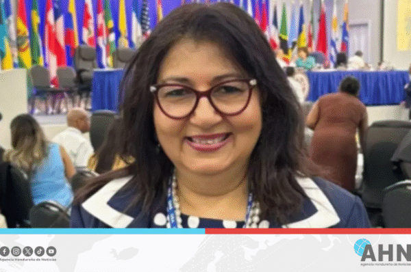 Abogada hondureña cuestiona resolución sobre impugnaciones adoptada por consejeras representantes del bipartidismo